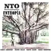 Non Tango Orquesta - Entropia